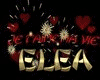 FEUX D'ARTIFICE