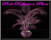 Pink Reflections Plant