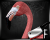 *A* Pink Flamingo