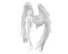 WH WINGS VZ299D