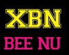 XBN PADDLE 