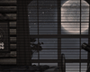Starry Night  Attic