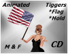 CD Flag Estados Unidos