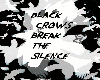 BlackCrowsBreak..Silence