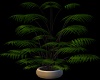 Small Escape Planter