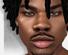 HAROLD Head | Asteri