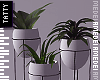 ` plants