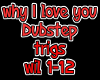 why I love you-dubstep
