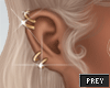 Gold Mutli Earring