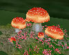 Storybookland Mushrooms
