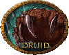 WOW Druid
