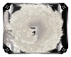 ~TC~ Hollystone Aki Tail