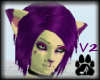 :A PB n J fur 2