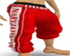 Lou rap pants red F