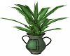 Tropical Plant /Vase
