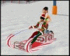 [xo]Fun animated sled