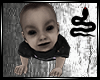 VIPER ~ Baby Boy