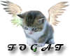 CatAngel