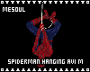Spiderman Hanging Avi M