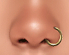 💎 Nose Ring L