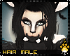 !F:Bones Hair M v1