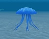 Undersea Jelly Fish