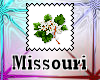 Missouri state flower