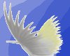 Cockatoo arm wings