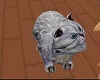 {HB} Grey Persian cat