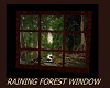 RAINING FOREST WINDOW