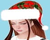 D*Christmas hat