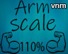 Arm Scale 110%