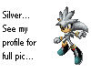 Silver the hedgehog(big)