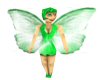 Kinta green Fairy