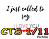 ..ToSay I LoveYouRemix