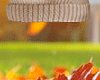 Beanie Brown Autumn
