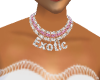 Exotic Necklace