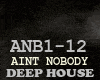 DEEP HOUSE-AINT NOBODY