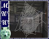 Transparent Spider Web