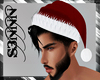 S3N - Santa Hat v6