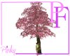 Plum Tree Animated