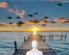 Dock on water bg