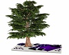 Lit Tree with Deck White