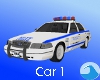 Ocean Town Police Car