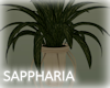 [Luv] Sapph. Plant I