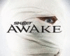 Awake&Alive-Skillet Dub