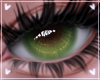 -S- Soft Kiwi Eyes M/F