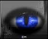 [CH] Blizz Eyes - UNI