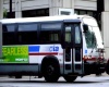 CTA Chicago Bus