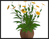 Flowers Basket Pot ~